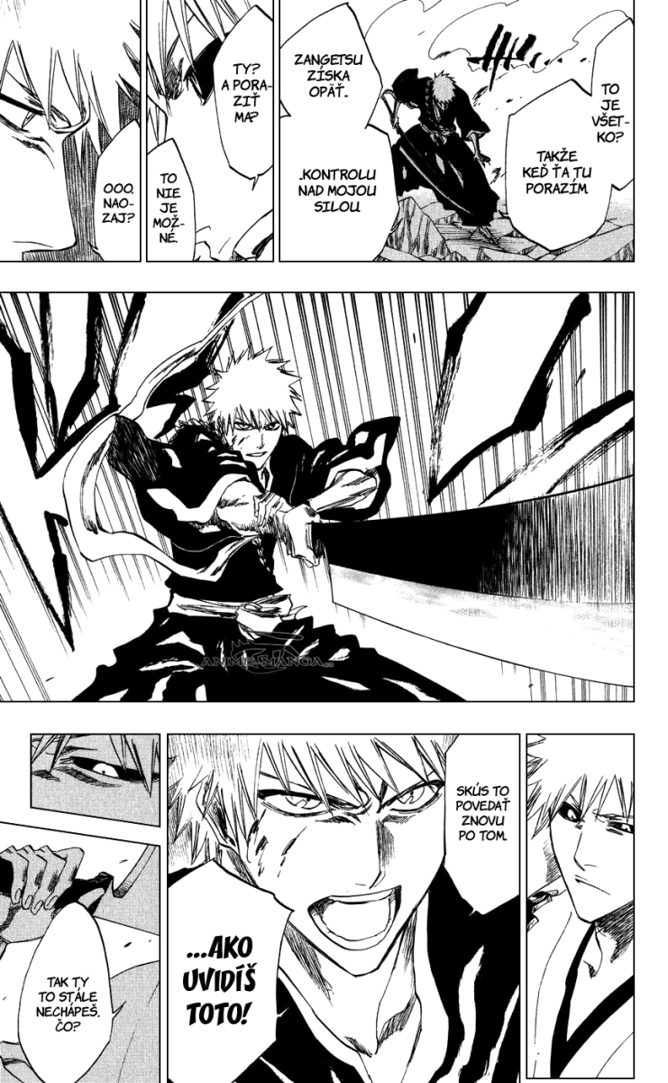 Bleach 218 19 kopie.jpg